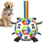 World Cup-Themed Dog Soccer