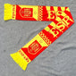 2026 USA, Canada, and Mexico World Cup National-Themed Scarves