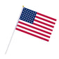 Small American Flag