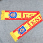 2026 USA, Canada, and Mexico World Cup National-Themed Scarves