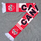 2026 USA, Canada, and Mexico World Cup National-Themed Scarves