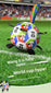 World Cup-Themed Dog Soccer