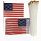 Small American Flag