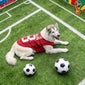 World Cup-Themed Pet Clothing