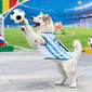 World Cup-Themed Pet Clothing