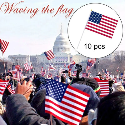 Small American Flag