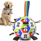 World Cup-Themed Dog Soccer