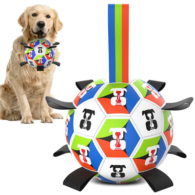 World Cup-Themed Dog Soccer