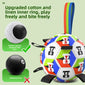 World Cup-Themed Dog Soccer