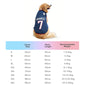 World Cup-Themed Pet Clothing