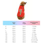 World Cup-Themed Pet Clothing
