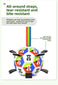 World Cup-Themed Dog Soccer