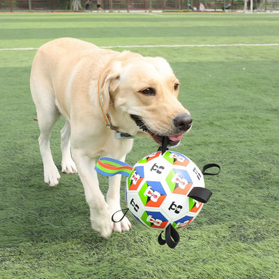 World Cup-Themed Dog Soccer