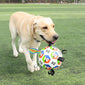 World Cup-Themed Dog Soccer