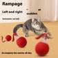 Interactive Cat Toy Ball  Drive Cat Rolling Ball