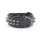 Pet Collar