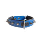 Pet Collar
