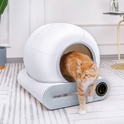 Self-Cleaning Litter Box