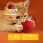 Interactive Cat Toy Ball  Drive Cat Rolling Ball