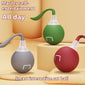 Interactive Cat Toy Ball  Drive Cat Rolling Ball