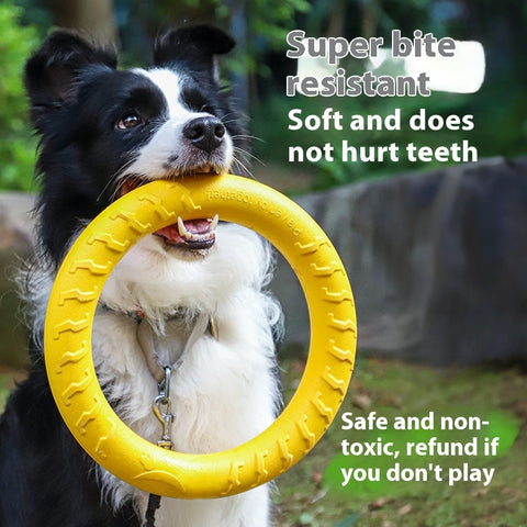 Pet Supplies