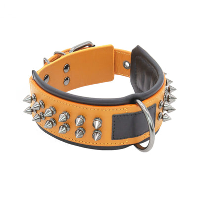 Pet Collar