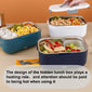Electric heated lunch box