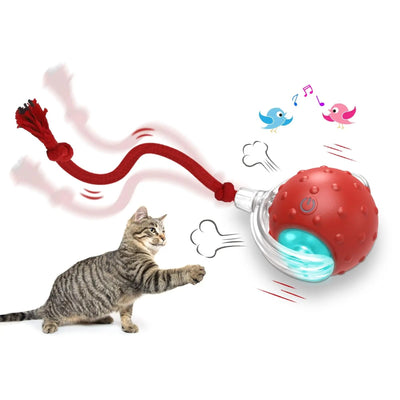 Interactive Cat Toy Ball  Drive Cat Rolling Ball